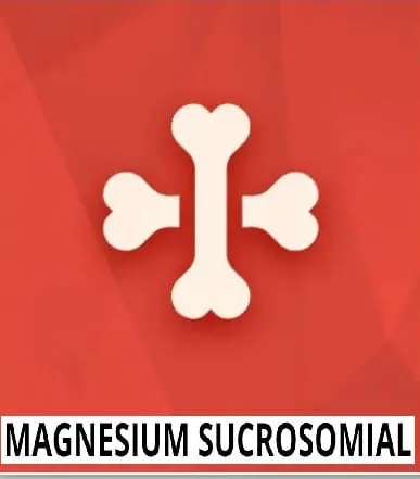 Magnesium Sucrosomal
